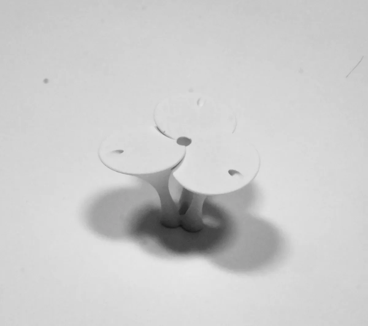 Mizu-koma process image 6