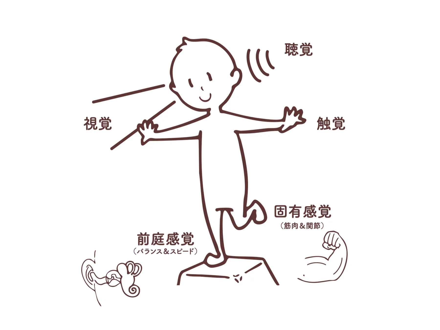 About  Sensory Integration research image 1